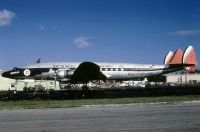 Photo: Aerofletes Internacionales S.A., Lockheed Constellation, HP-528