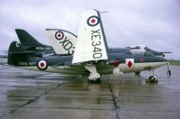 Photo: Royal Navy, Hawker Sea Hawk, XE340