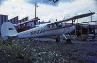 Photo: Untitled, Cessna 120, N81091