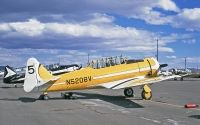 Photo: Untitled, North American T-6 Texan, N5208V