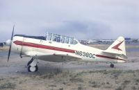 Photo: Untitled, North American Harvard, N6980C