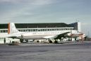 Photo: American Airlines, Douglas DC-6, N385AA