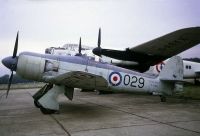 Photo: Royal Navy, Hawker Sea Fury, WJ288